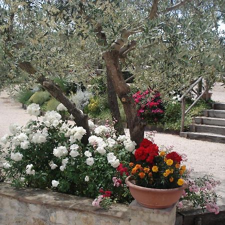 مونتيفالكو Tenuta Colverano المظهر الخارجي الصورة