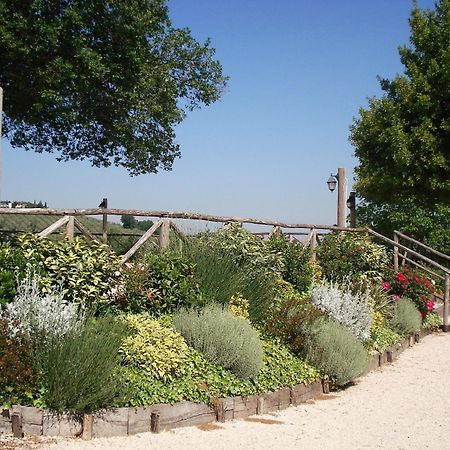 مونتيفالكو Tenuta Colverano المظهر الخارجي الصورة