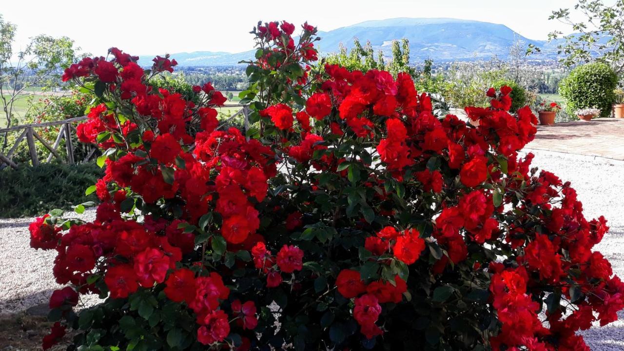 مونتيفالكو Tenuta Colverano المظهر الخارجي الصورة