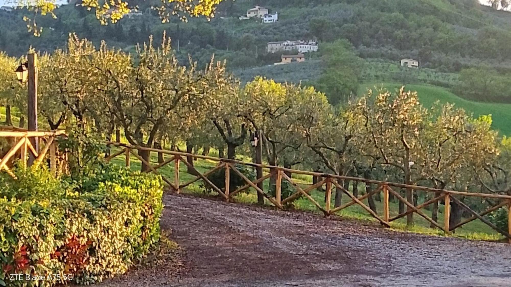 مونتيفالكو Tenuta Colverano المظهر الخارجي الصورة