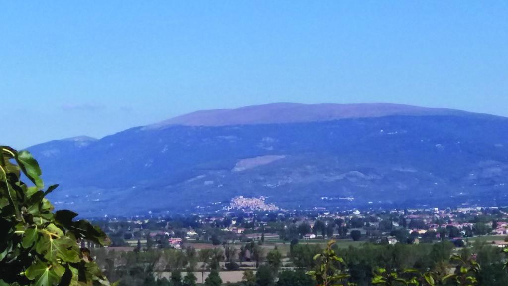 مونتيفالكو Tenuta Colverano المظهر الخارجي الصورة