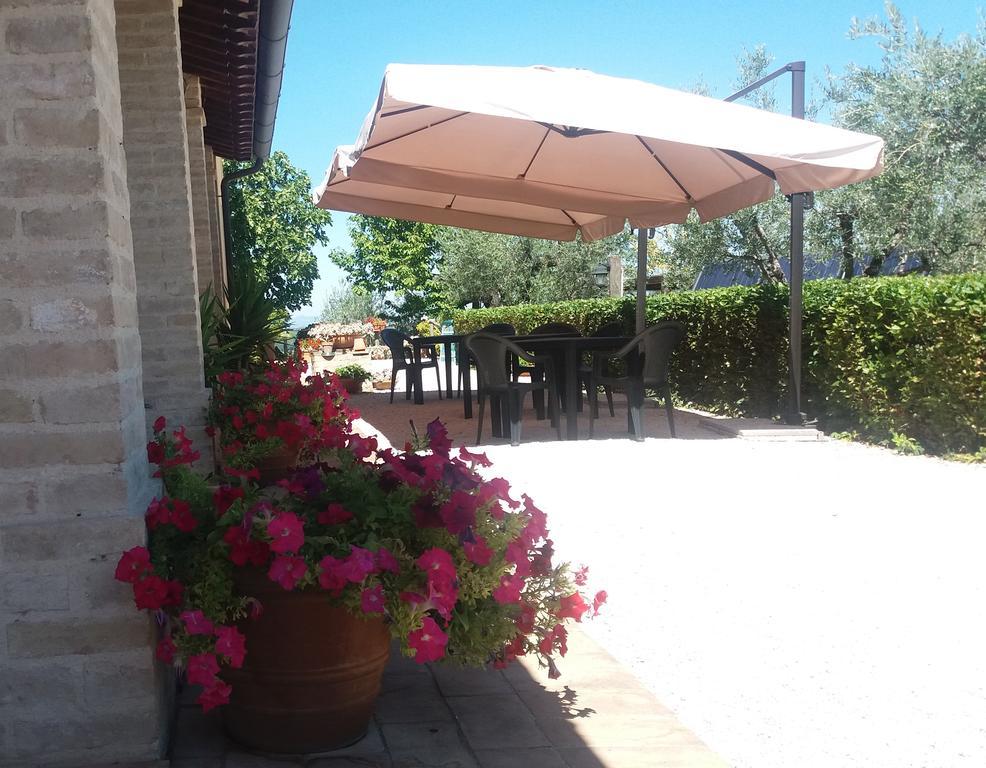 مونتيفالكو Tenuta Colverano المظهر الخارجي الصورة