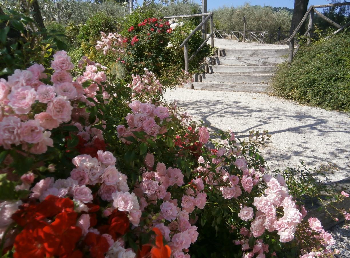 مونتيفالكو Tenuta Colverano المظهر الخارجي الصورة