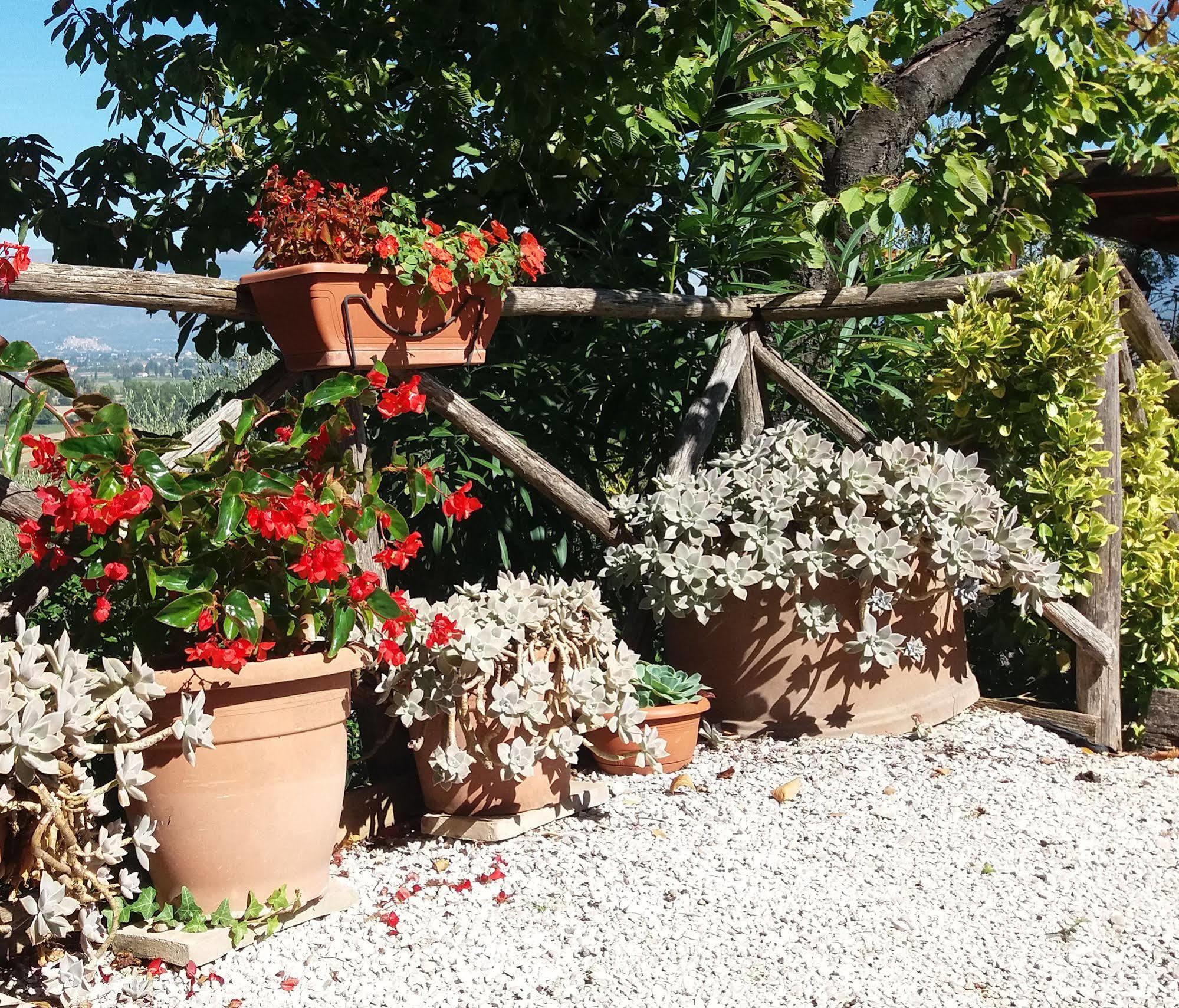 مونتيفالكو Tenuta Colverano المظهر الخارجي الصورة