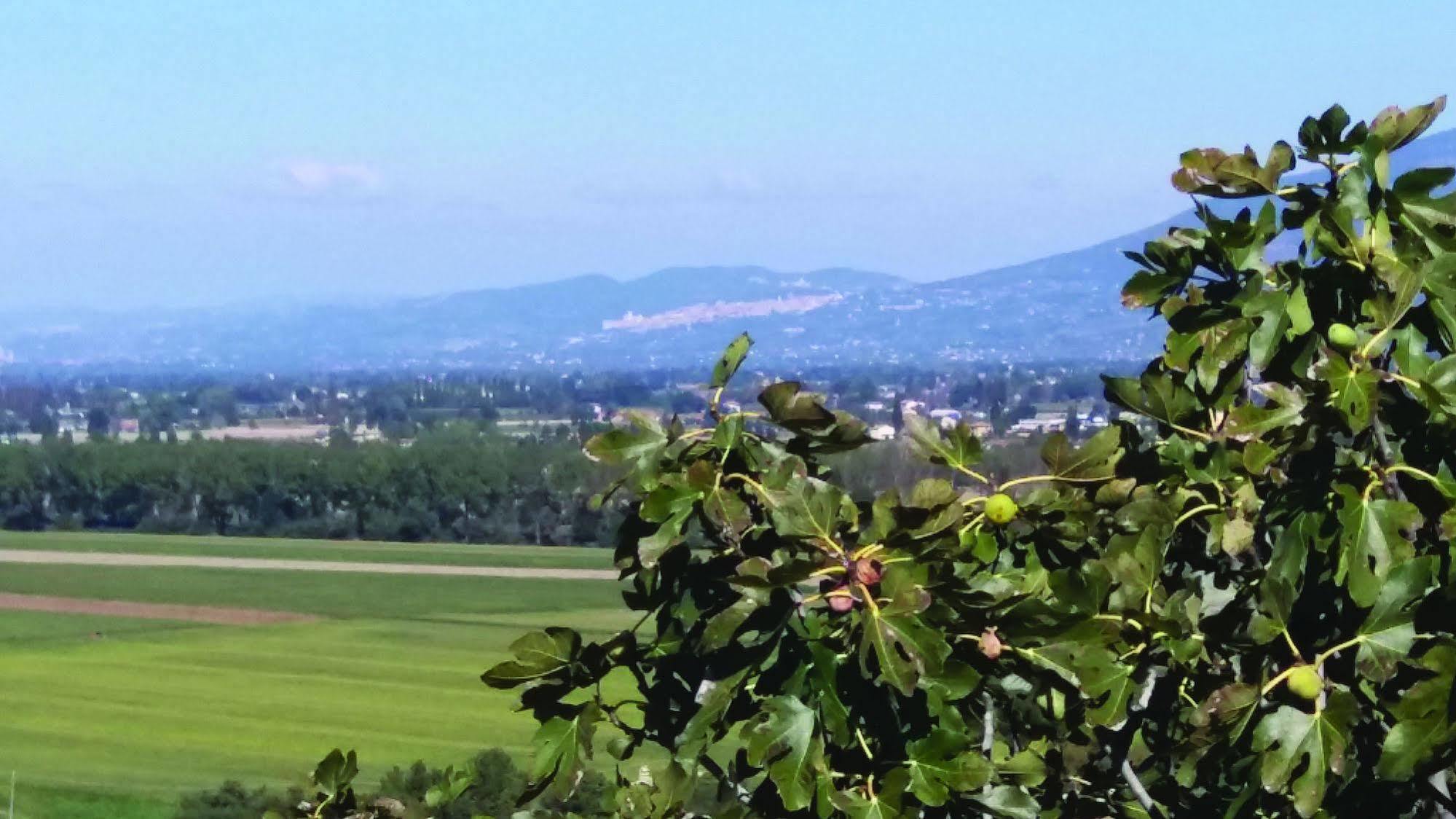 مونتيفالكو Tenuta Colverano المظهر الخارجي الصورة