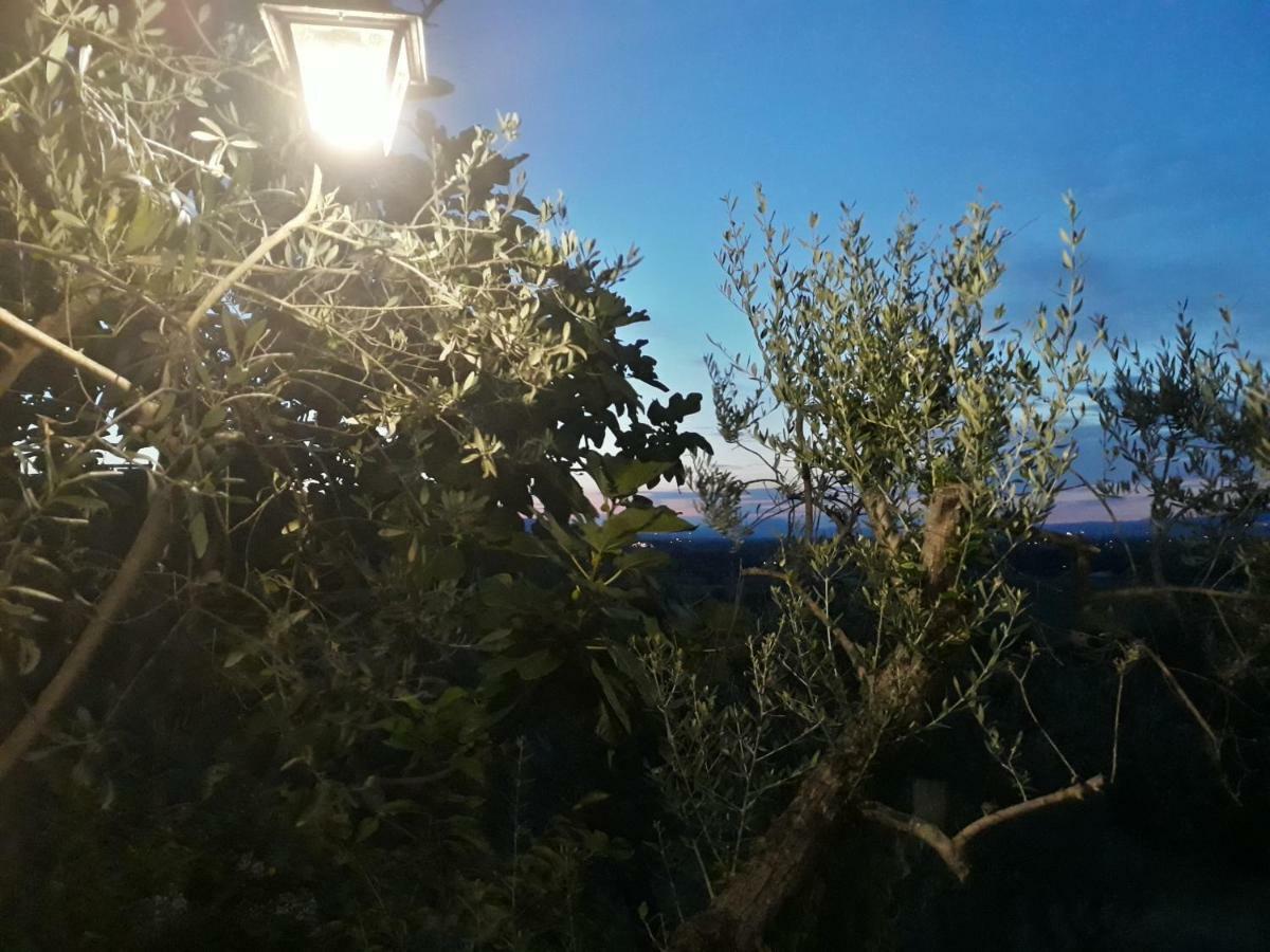 مونتيفالكو Tenuta Colverano المظهر الخارجي الصورة